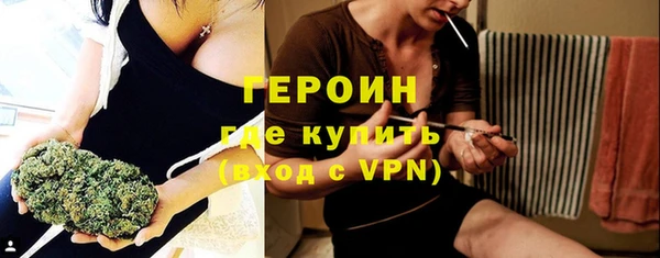 молекула духа Вяземский