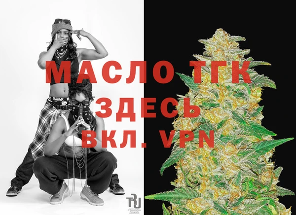 молекула духа Вяземский