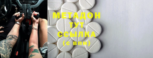 молекула духа Вяземский