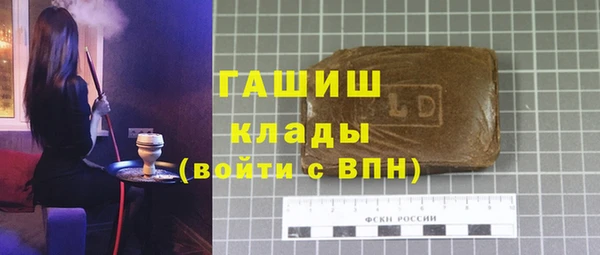 молекула духа Вяземский