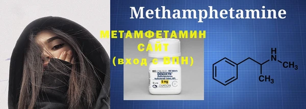 молекула духа Вяземский