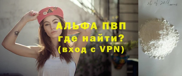 молекула духа Вяземский