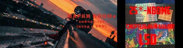 молекула духа Вяземский