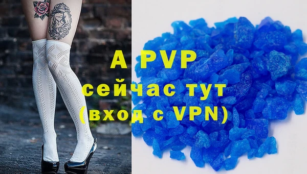 молекула духа Вяземский