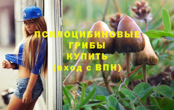 ГАЛЛЮЦИНОГЕННЫЕ ГРИБЫ Нягань