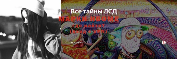 молекула духа Вяземский