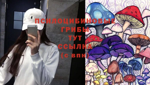 ALPHA PVP Володарск