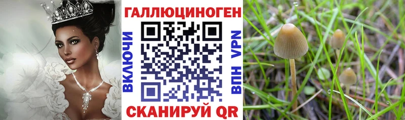 Псилоцибиновые грибы прущие грибы  закладка  Знаменск 